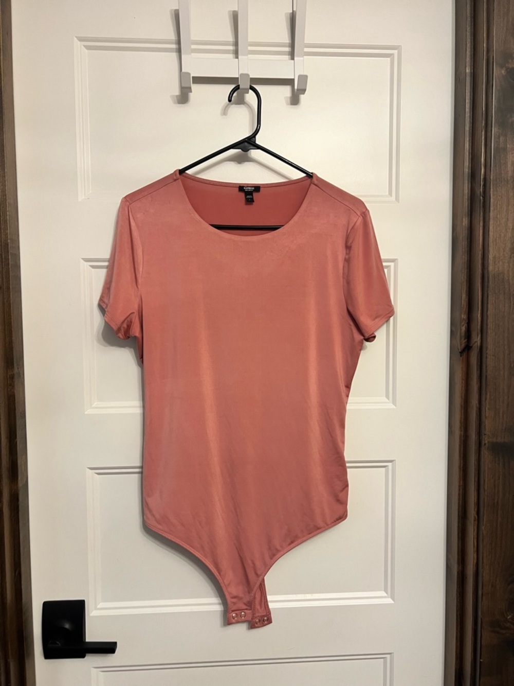 Express Rose Short Sleeve Bodysuit - Express